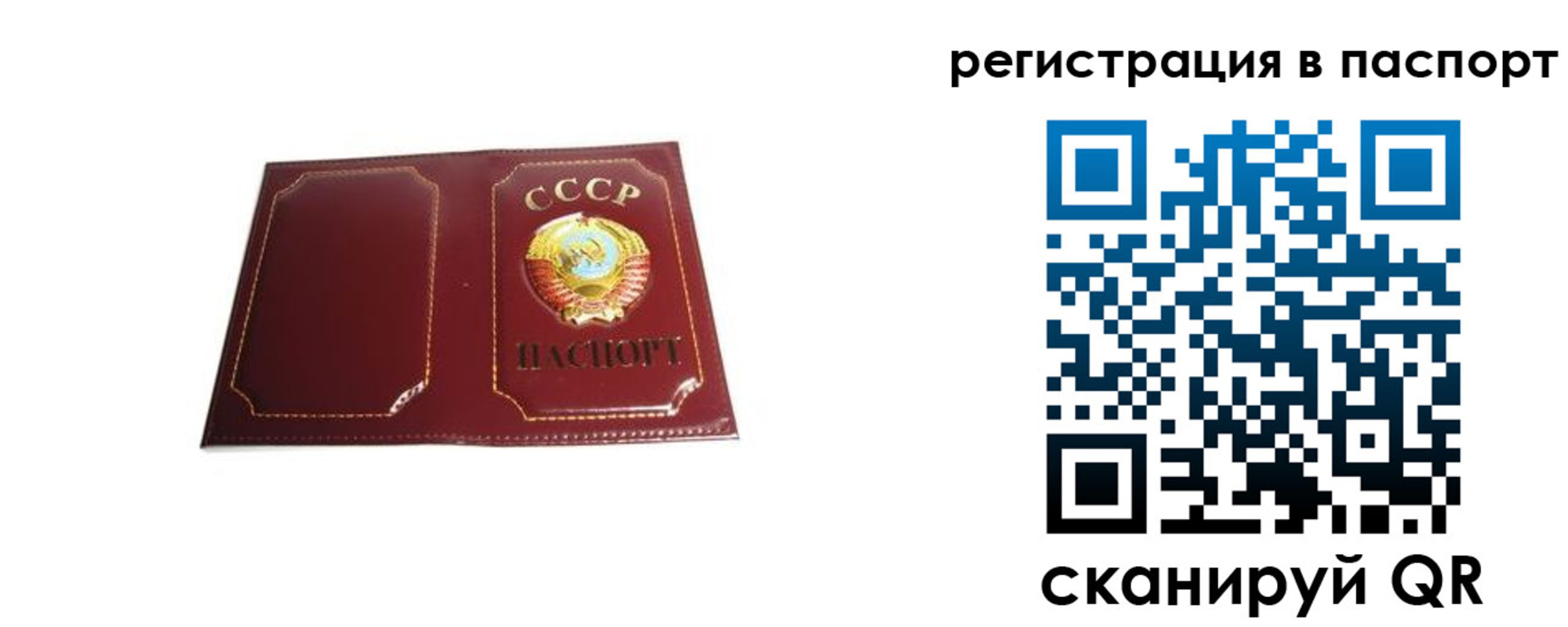 прописка 2025 в Малой Вишере